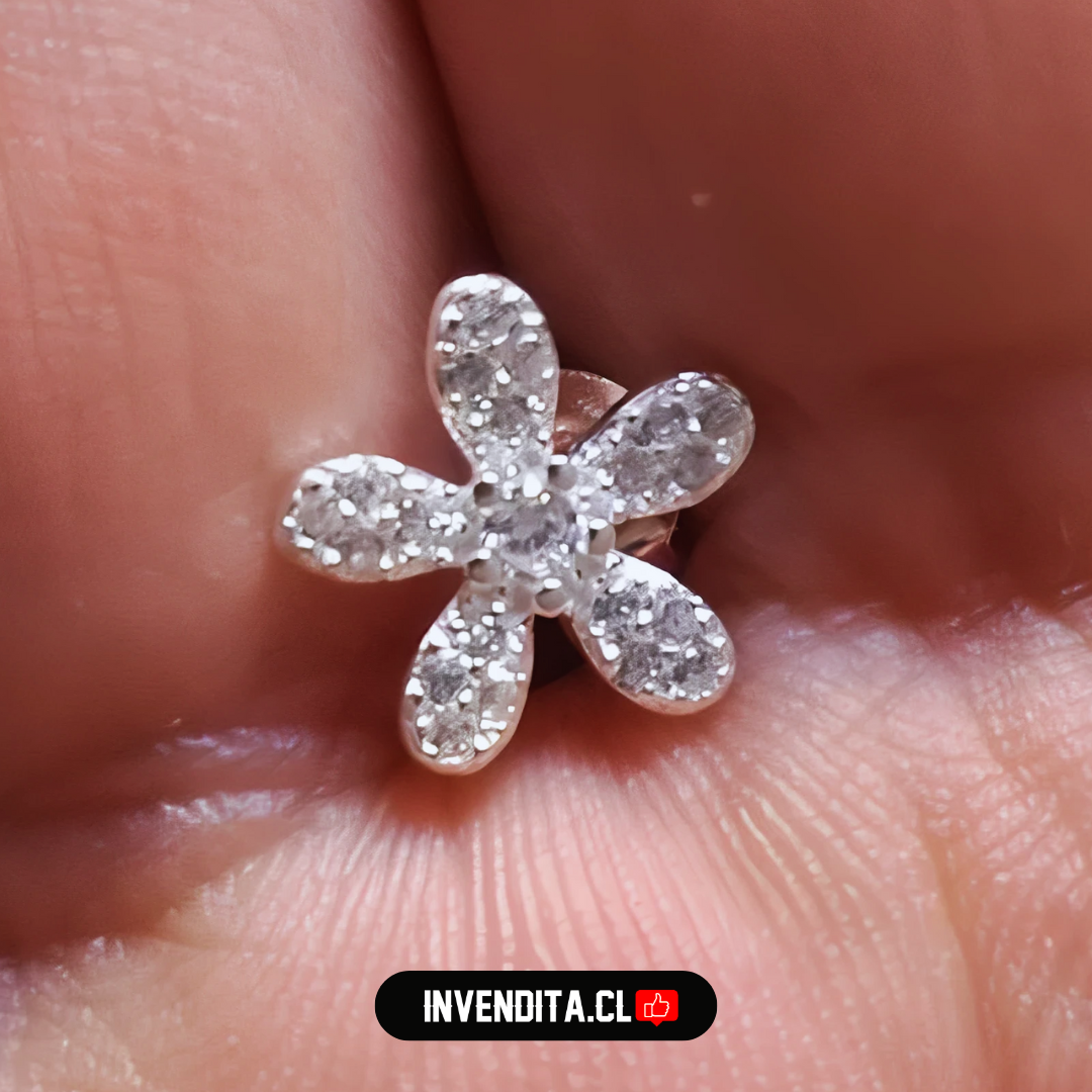 Aros de plata 925 flores con circones varios