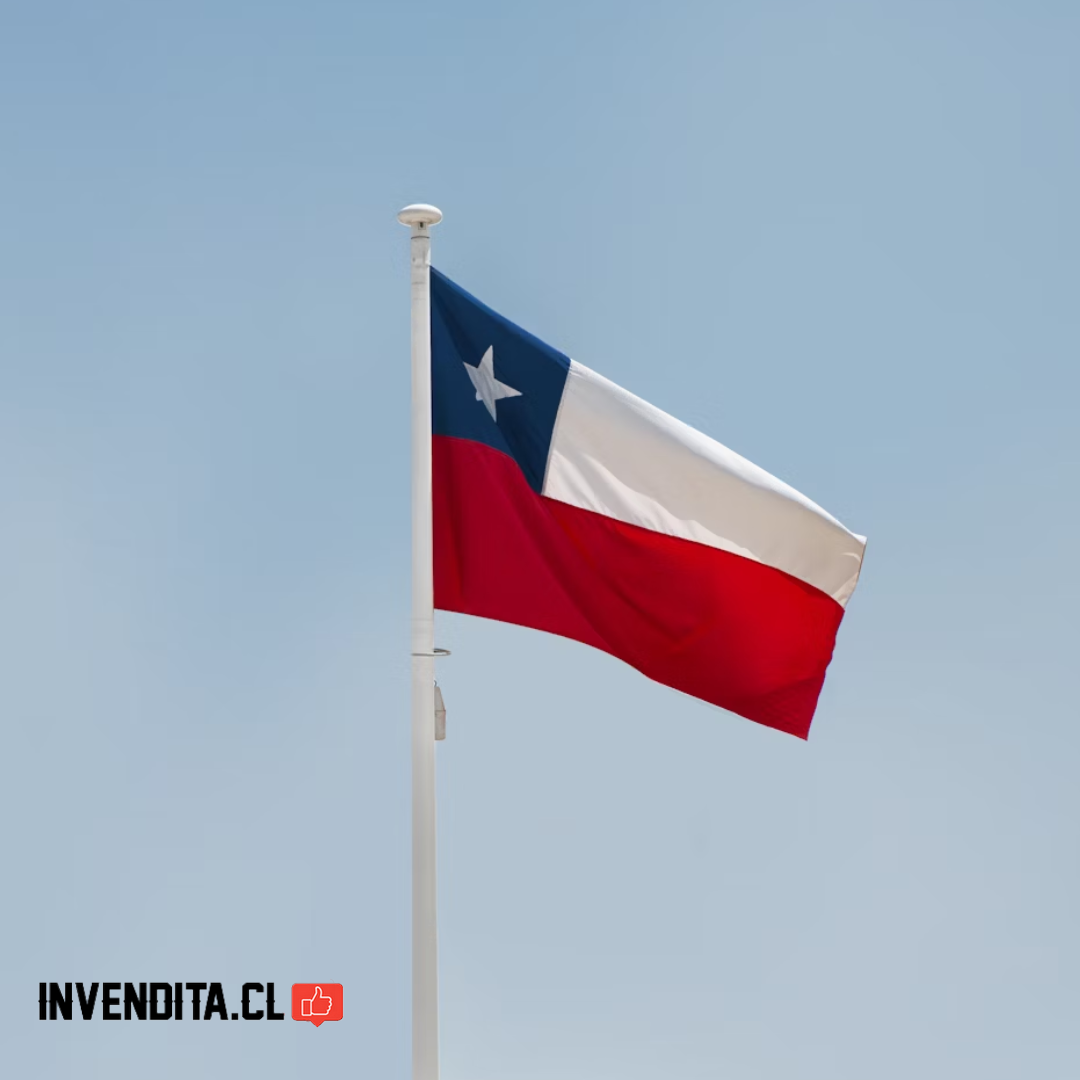 Funda cubre espejos del auto con la bandera de Chile