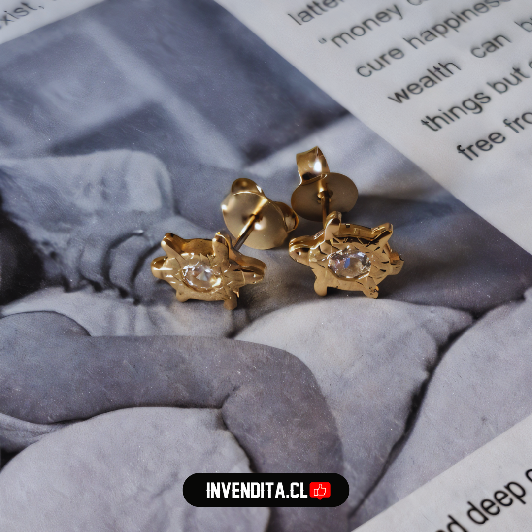Aros enchapados en oro tortuga con circón blanco