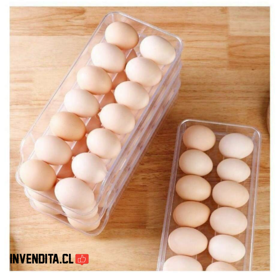 Organizador Huevos 2 Niveles Almacenamiento Bandeja 28 Unds