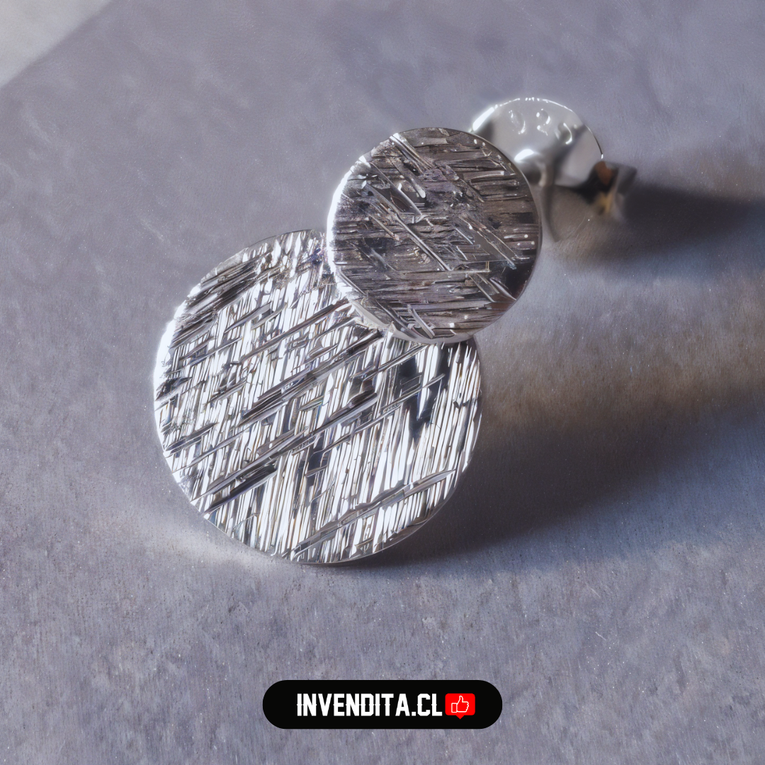 Aros de plata 925 doble placa circular satinadas