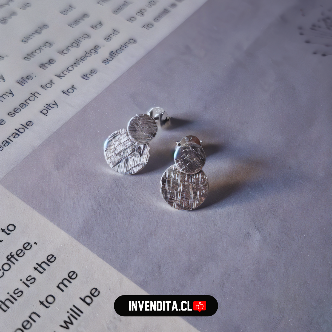 Aros de plata 925 doble placa circular satinadas