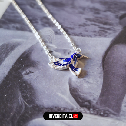 Collar de plata 925 colibrí azul eléctrico