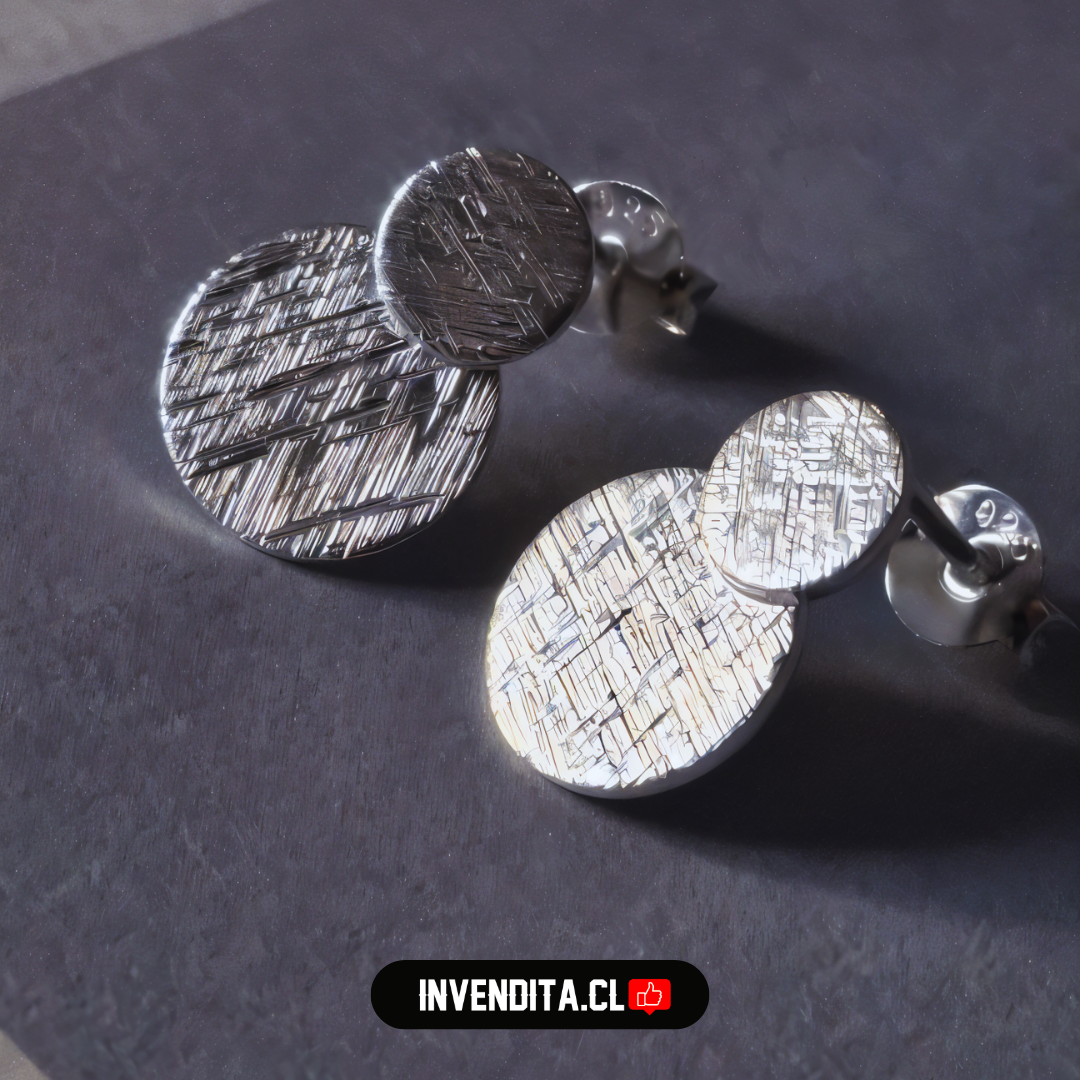 Aros de plata 925 doble placa circular satinadas